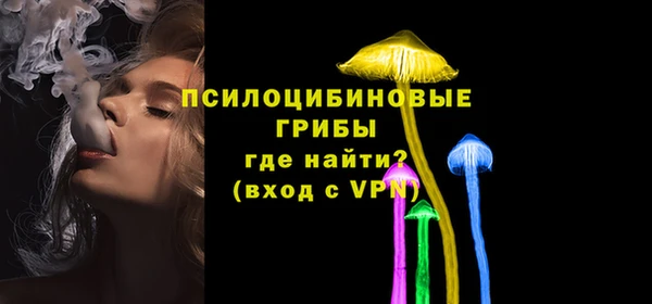 трава Надым