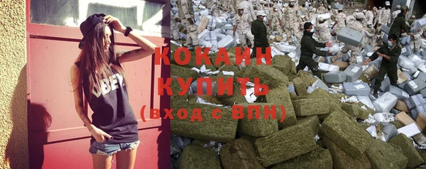 трава Надым
