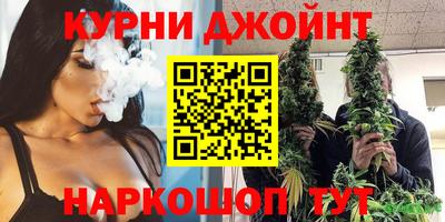 крисы Аргун