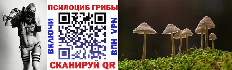 Псилоцибиновые грибы Psilocybe ОМГ ОМГ ТОР Балаково