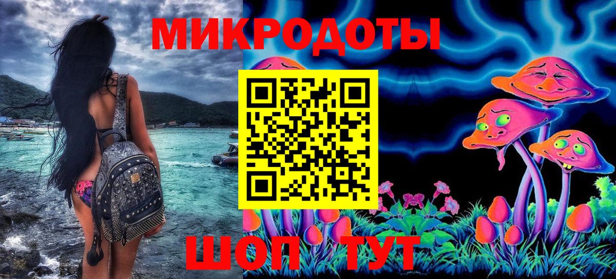 Псилоцибиновые грибы Cubensis Балаково