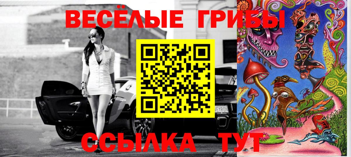 Псилоцибиновые грибы GOLDEN TEACHER  дарнет шоп  Балаково 